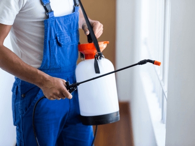 About Guardian Pest Control - pest control tampa experts in Tampa